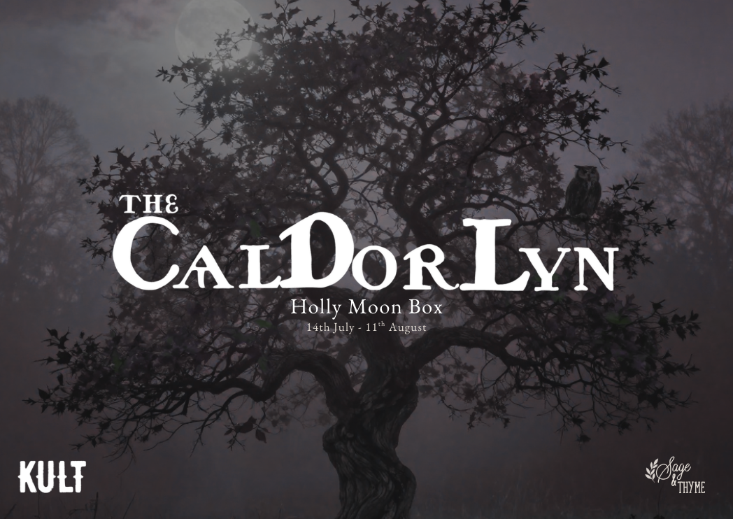 Holly Moon Grimoire Pack | Celtic Moon Cycle Companion | Magical Guidance Pages