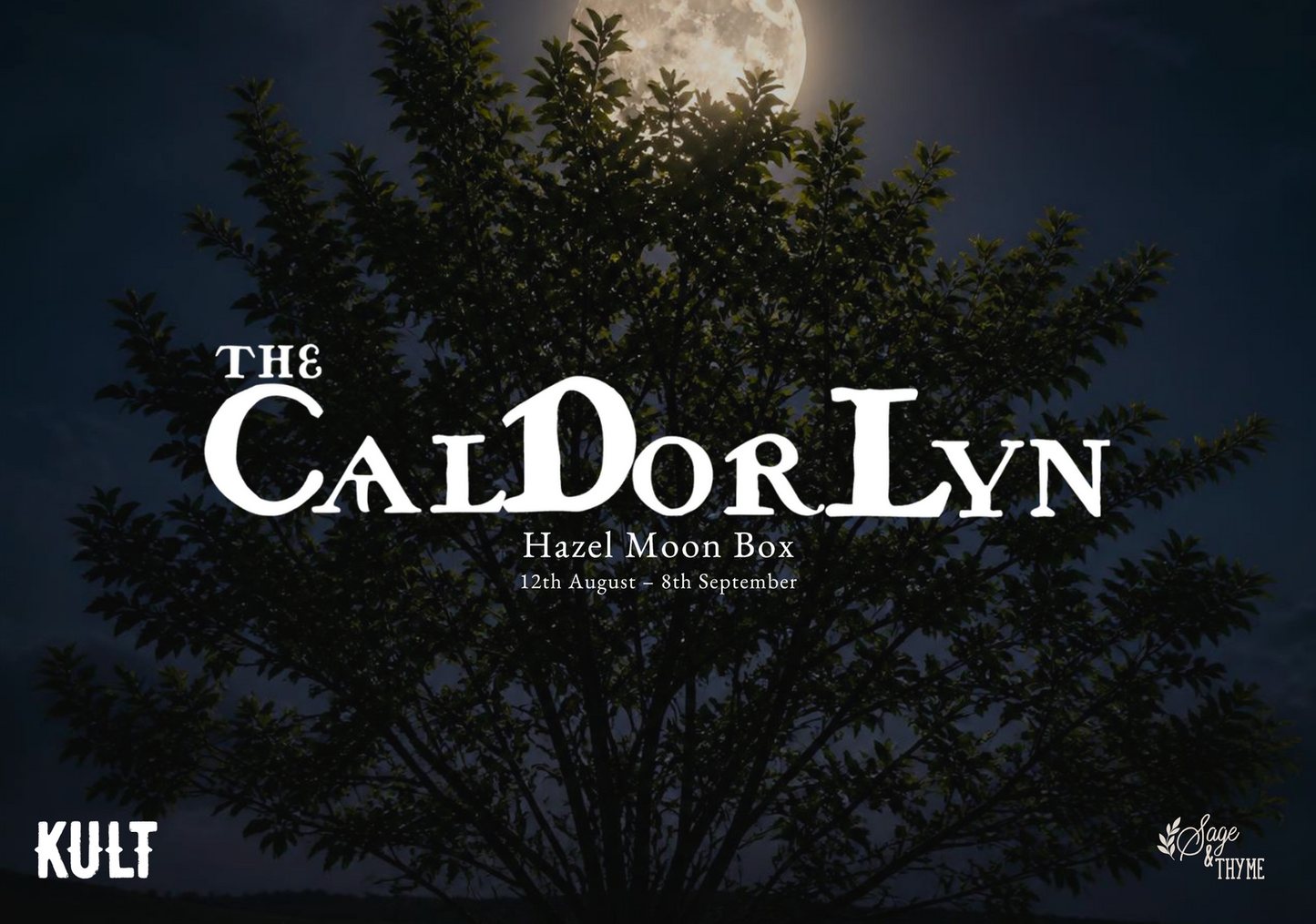 Hazel Moon Grimoire Pack | Celtic Moon Cycle Companion | Magical Guidance Pages