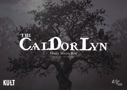 Holly Moon Grimoire Pack | Celtic Moon Cycle Companion | Magical Guidance Pages