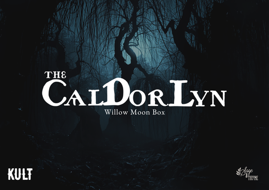 WILLOW MOON GRIMOIRE PACK